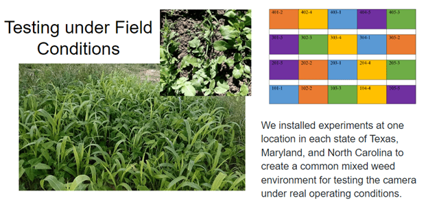 We installed experiments at one location in the states of Texas, Maryland, and North Carolina.