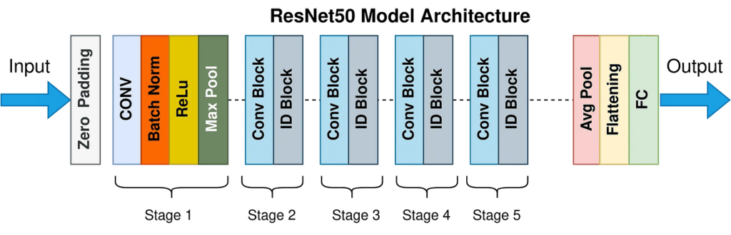 image clasification 2024